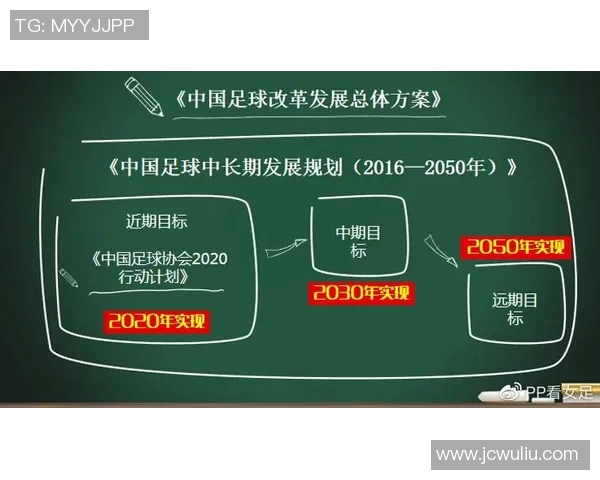 中国足球明星市场价值分析及其对职业联赛的影响探讨