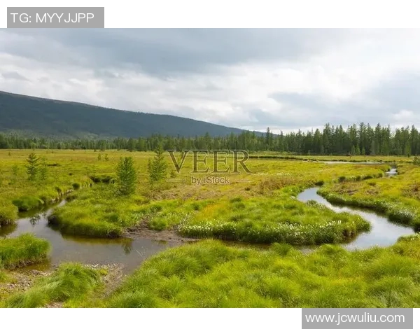 亚马尔地区的能源战略与全球气候变化的相互影响分析